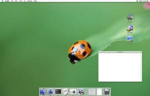 screen-before.jpg