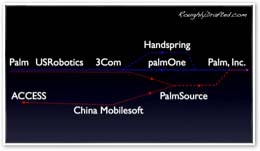 palm.jpg
