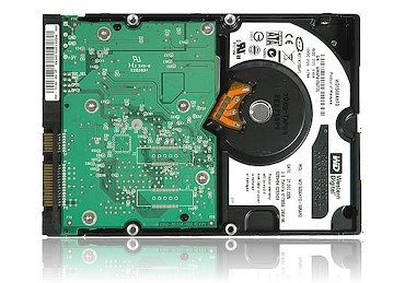 wd1500-plexi-bottom.jpg