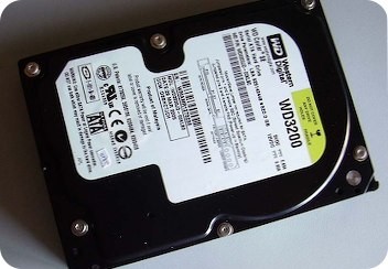DSCN0010.jpg