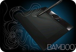waconm_bamboo.jpg