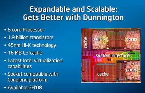 inteldunnington-lg.jpg