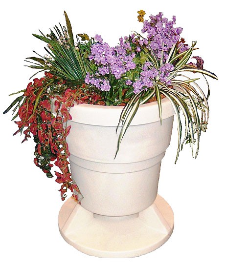 PLANTER.jpg