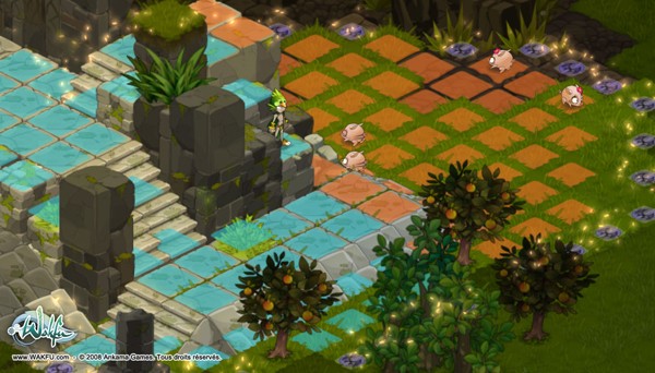 wakfu_2008_5.jpg