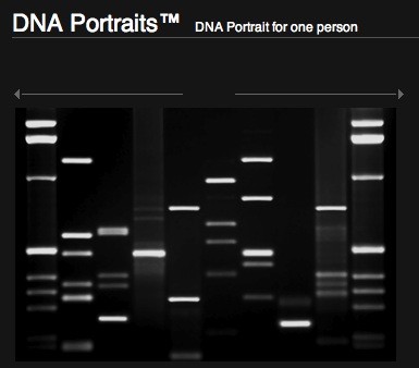 DNA-Portraits.JPG