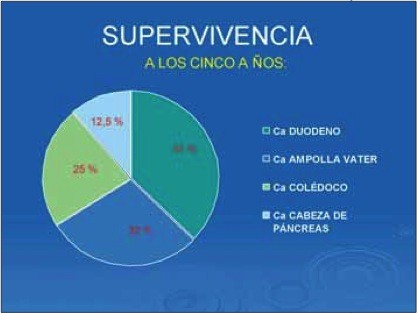 Grafica-supervivencia.JPG