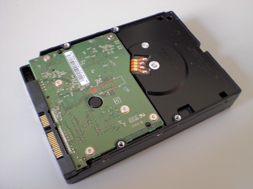 WD2TB_2009_2.jpg