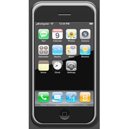 iPhone 256.png