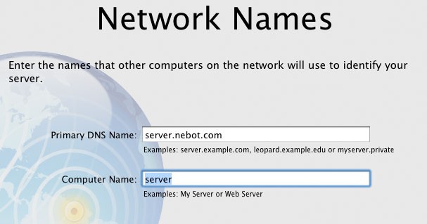 server_leopard_miquel_nebot-11.jpg