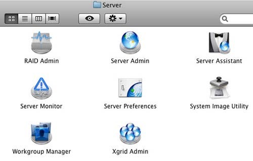 server_leopard_miquel_nebot-22.jpg