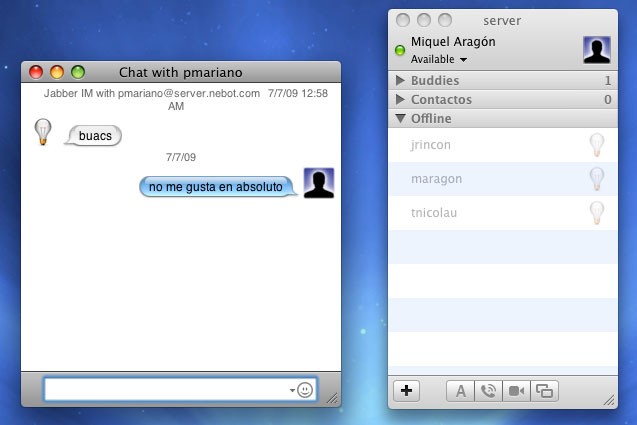 server_leopard_miquel_nebot-46.jpg