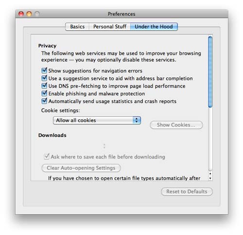 Chrome_8_2009.jpg