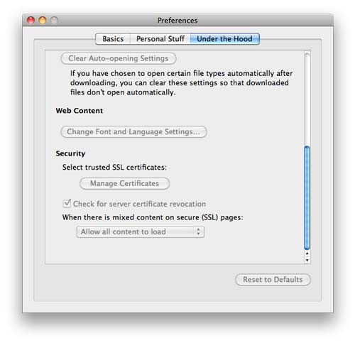 Chrome_9_2009.jpg