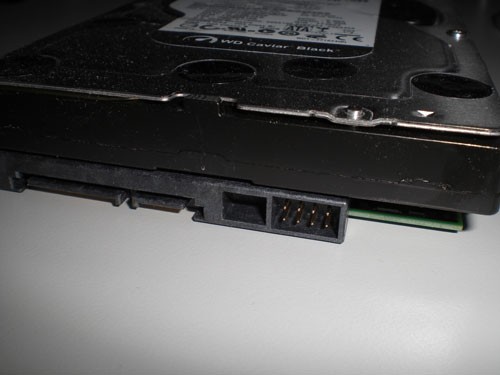 WD2TB_2010_4.jpg