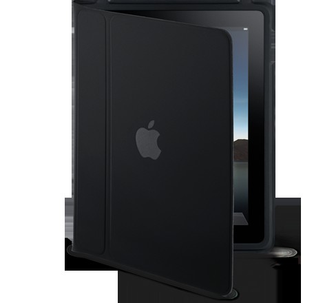 case_1_20100127.png