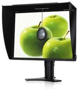 nec_2010.jpg