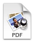 icono_PDF_1.jpg