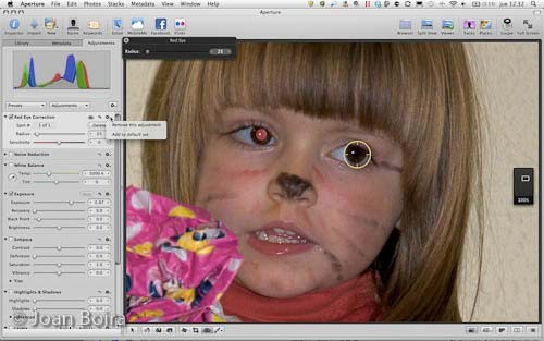 62.-Eye-Red-opciones-pestana-Adjustments.jpg