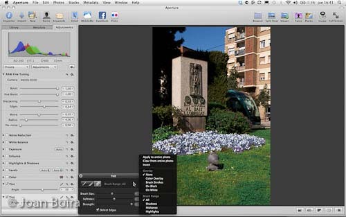 22.-Tint-opciones.jpg
