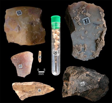 artifact-dm-cepap.jpg