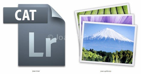 1.-Bibliotecas_Catalogo-en-Lightroom-y-Libreria-en-Aperture.jpg