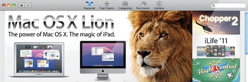 Lion 110504