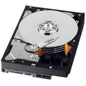 wdfcaviargreen_sata32-2.jpg