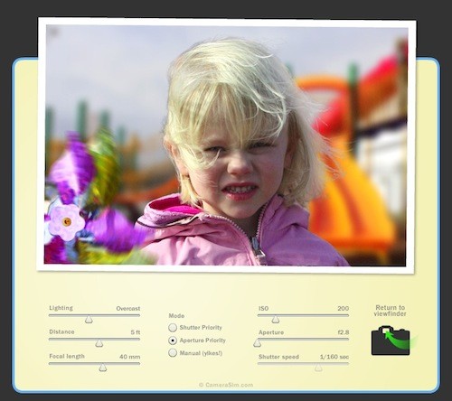 Camerasim interface